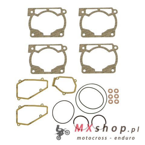 XRADICAL(ARTEIN GASKETS) USZCZELKI TOP END BETA 250/300 RR '13-'24