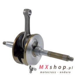 RMS WAŁ KORBOWY APRILIA 125 ATLANTIC '06-'12; DERBI 125 '04-'12; GILERA 125 RUNNER '05-'13; PIAGIO BEVERLY 125 '04-'08; X8 125 '