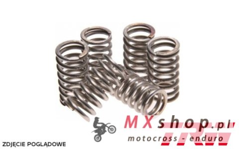 TRW ZF SPRĘŻYNY SPRZĘGŁOWE HONDA CRF 150 06-16, NSR 125 88-03, XRV 750 AFRICA TWIN 90-03, KAWASAKI KX 125 89-93, KX 250 87-91, S