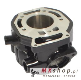 ATHENA CYLINDER HONDA MTX R2H 125 , NS F 125 , 56,00MM NICASYL