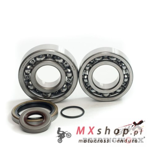 BEARING WORX ŁOŻYSKA WAŁU KORBOWEGO Z USZCZELANIACZAMI GAS GAS EC 200/250/300 '10- (NTN) (MADE IN JAPAN)