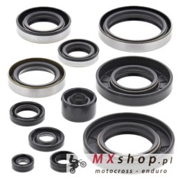 WINDEROSA (VERTEX) KOMPLET (ZESTAW) USZCZELNIACZY SILNIKOWYCH KAWASAKI KX 250 '93-'03