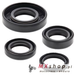 WINDEROSA (VERTEX) KOMPLET (ZESTAW) USZCZELNIACZY SILNIKOWYCH KTM MINI ADV 50 02-07, SR ADV 50 02-07