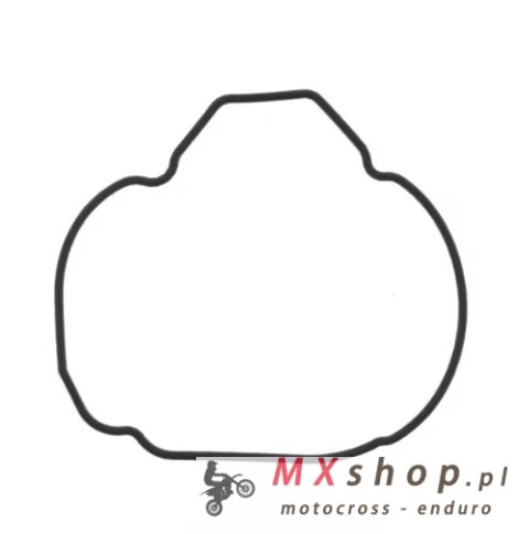 ATHENA 2026/01 USZCZELKA POKRYWY ALTERNATORA KAWASAKI ZX-9 R '94-'97, OEM, 920551494