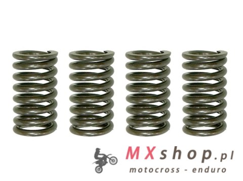 PSYCHIC SPRĘŻYNY SPRZĘGŁOWE HONDA CR 250R '81-'82, KAWASAKI KX 80 '98-'00, KX 85 '01-'21, KX 100 '88-'19 (EBS041)