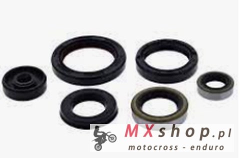 WINDEROSA (VERTEX) KOMPLET (ZESTAW) USZCZELNIACZY SILNIKOWYCH YAMAHA TTR90 00-08