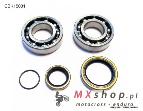 BEARING WORX ŁOŻYSKA WAŁU KORBOWEGO BETA 2T 250 / 270 / 290 / 300, RR 250 / 300 '13-'24 (NTN) (MADE IN JAPAN) (23.CBS73013)