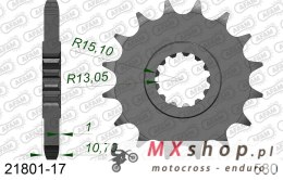 AFAM 2026/04 ZĘBATKA PRZEDNIA 579 17 Z GUMĄ YAMAHA FZ1 '06-'15, R1 '04-'14, FJ, XJR (JTF579.17RB) (ŁAŃC. 530)