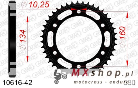 AFAM 2026/04 ZĘBATKA TYLNA 4399 42 HONDA CBR 1000RR '06-'16, CBR 900RR '00-'03 (JTR1306.42) (ŁAŃC. 530)